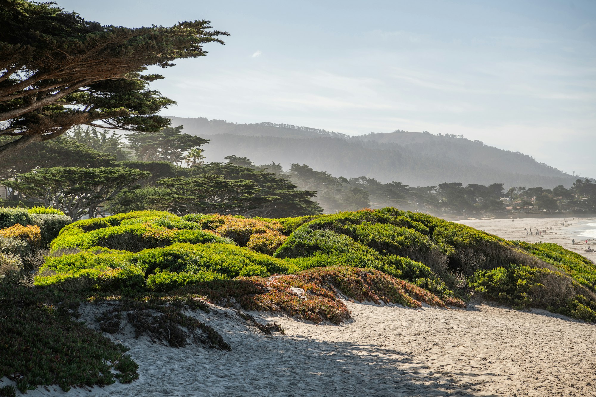 Carmel by the Sea California Beach