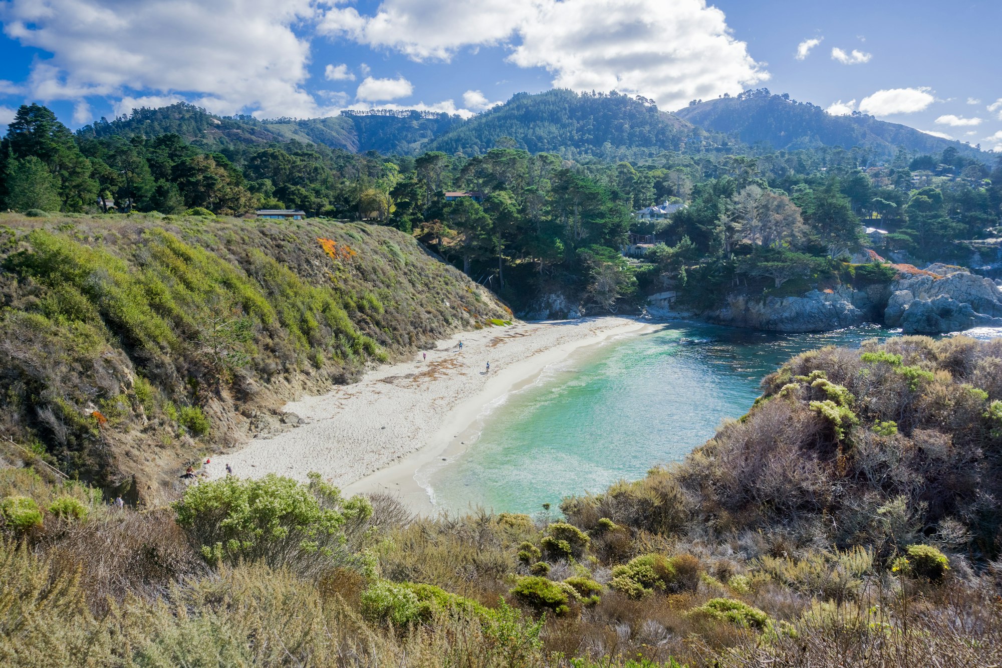 Cove in Point Lobos State Natural Reserve